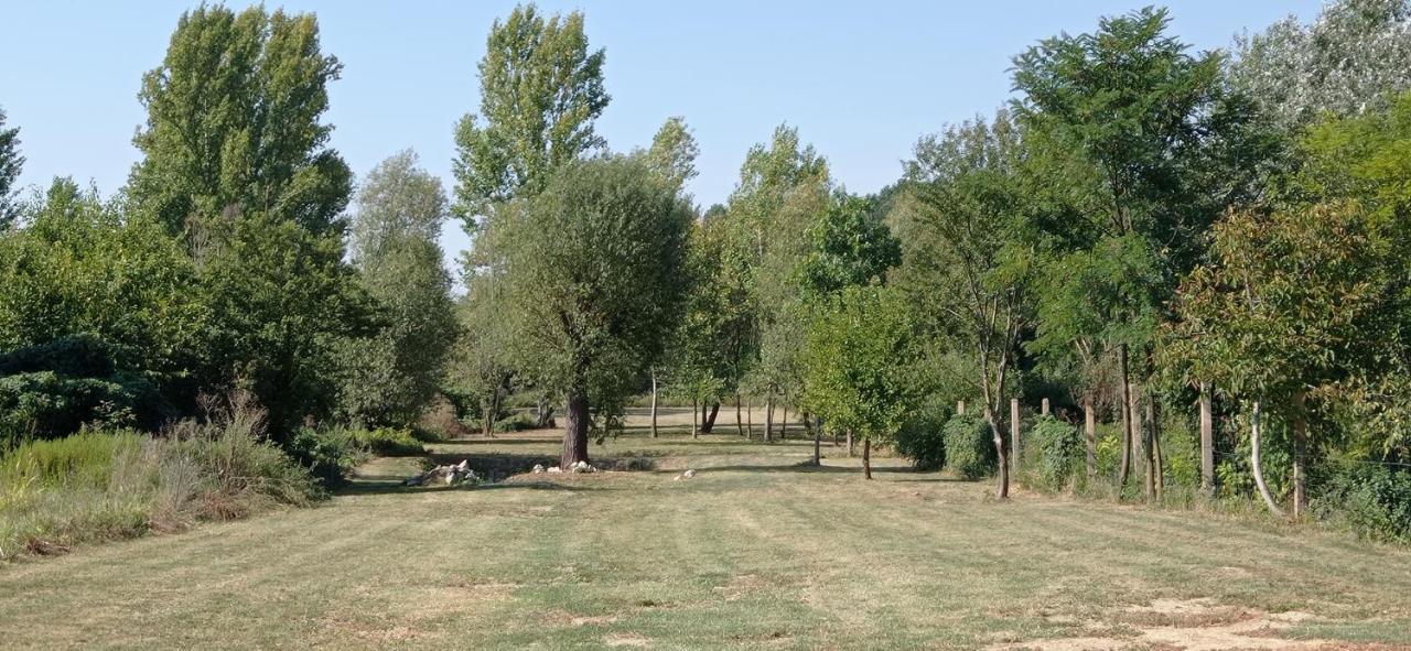 Végvári Vendégház Magyarbóly Exterior foto