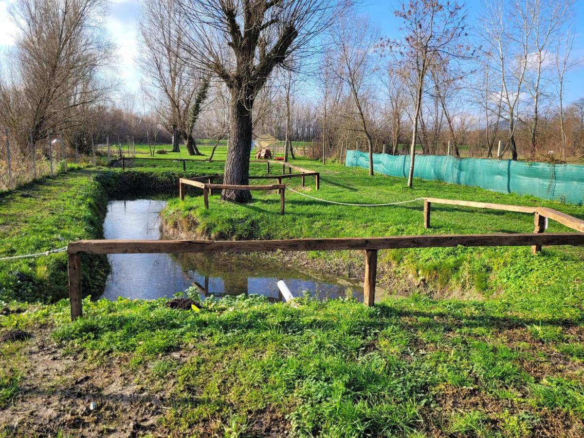 Végvári Vendégház Magyarbóly Exterior foto